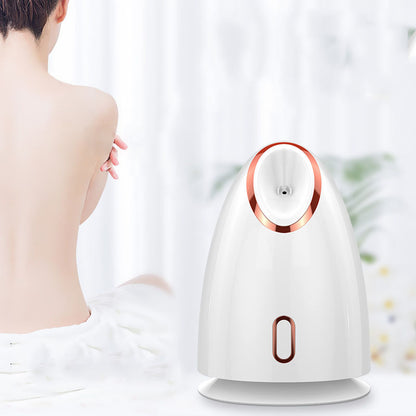 Nano Thermal Face Steamer – Deep Hydrating Facial Steamer for Moisturizing & Skin Care