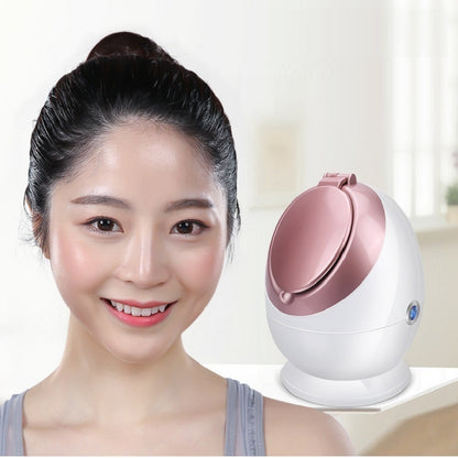 Nano Ionic Facial Steamer SA-166A – Deep Hydration Thermal Mist for Skin Care