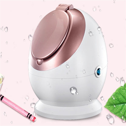 Nano Ionic Facial Steamer SA-166A – Deep Hydration Thermal Mist for Skin Care