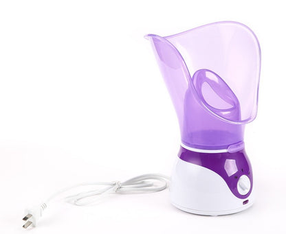 Ion Hot Spray Facial Steamer – Home Steam Beauty Instrument with LED & Moisturizing Care